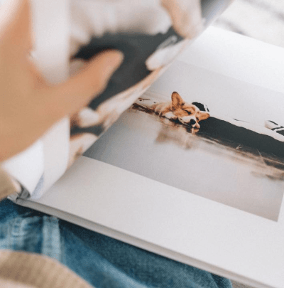 Listanje fotoalbuma sa fotografijom psa